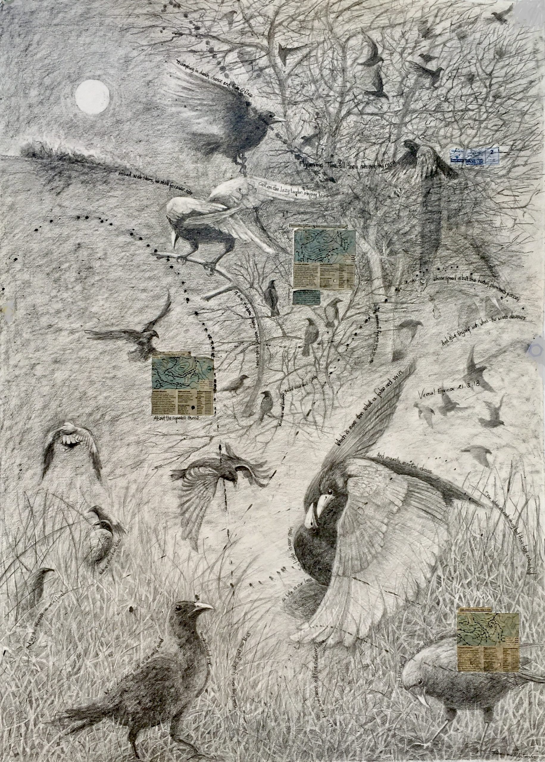 Crow Drawing Crow Drawing