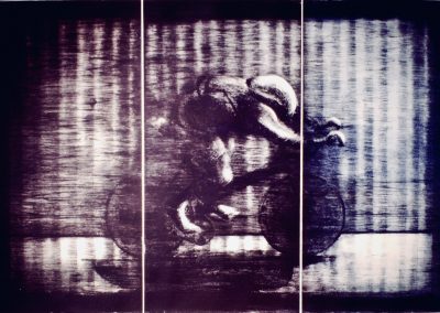 In Pursuit of a Line. Dry point etching 60 - 90 CMS.